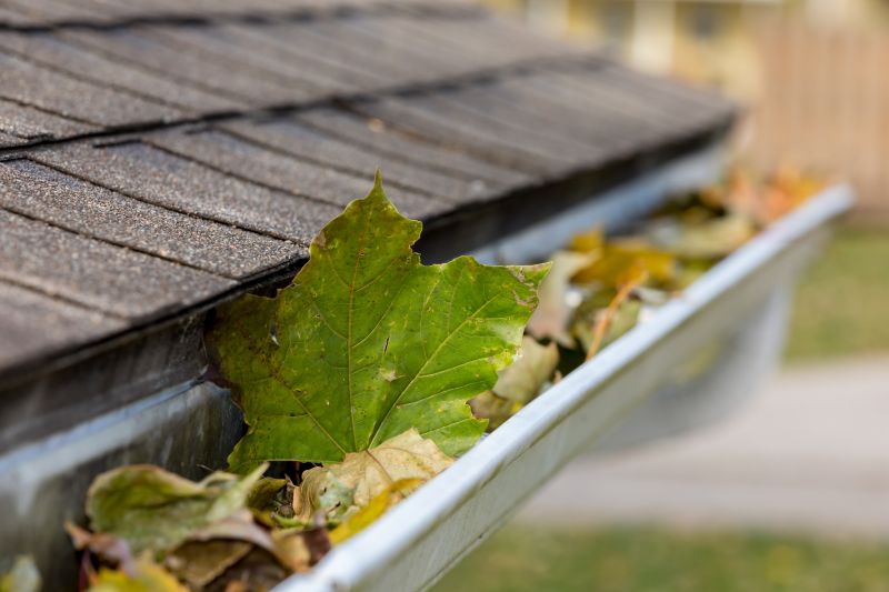 Close-up of Gutter Debris