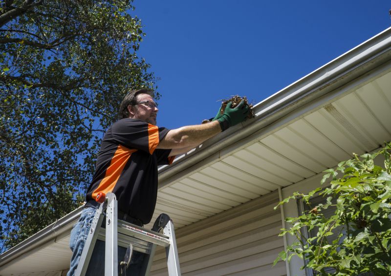 Gutter Extension Service