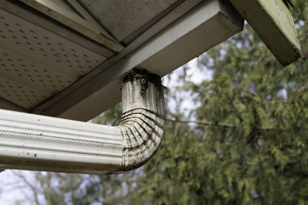 Cost of Roof Drain Replacement in Foley